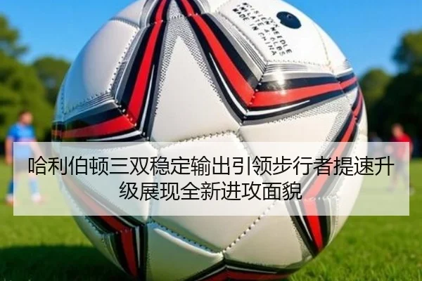 img_1783363127438_1546_0_410.jpg